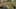 Game screenshot thumbnail 1