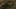 Game screenshot thumbnail 2