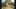 Game screenshot thumbnail 2
