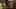 Game screenshot thumbnail 5