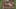 Game screenshot thumbnail 2