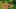 Game screenshot thumbnail 3