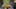 Game screenshot thumbnail 5