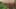 Game screenshot thumbnail 2