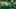 Game screenshot thumbnail 1