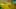 Game screenshot thumbnail 5