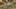 Game screenshot thumbnail 5