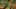 Game screenshot thumbnail 2