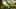 Game screenshot thumbnail 4