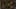 Game screenshot thumbnail 4