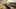 Game screenshot thumbnail 5