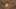 Game screenshot thumbnail 4