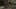 Game screenshot thumbnail 1