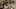 Game screenshot thumbnail 1
