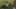 Game screenshot thumbnail 4