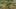 Game screenshot thumbnail 2
