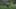 Game screenshot thumbnail 2