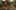 Game screenshot thumbnail 5