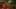 Game screenshot thumbnail 1