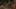 Game screenshot thumbnail 4