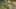 Game screenshot thumbnail 3