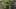 Game screenshot thumbnail 1