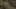 Game screenshot thumbnail 2