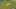 Game screenshot thumbnail 4
