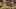 Game screenshot thumbnail 5