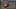 Game screenshot thumbnail 2