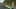 Game screenshot thumbnail 4