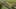 Game screenshot thumbnail 5