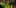 Game screenshot thumbnail 2