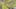 Game screenshot thumbnail 5