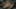 Game screenshot thumbnail 5