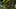 Game screenshot thumbnail 5