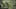 Game screenshot thumbnail 4