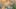 Game screenshot thumbnail 3