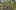 Game screenshot thumbnail 1