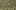 Game screenshot thumbnail 5