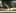 Game screenshot thumbnail 1