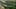 Game screenshot thumbnail 1