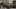 Game screenshot thumbnail 4