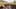 Game screenshot thumbnail 5