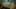 Game screenshot thumbnail 5