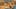 Game screenshot thumbnail 1