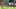 Game screenshot thumbnail 3