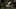 Game screenshot thumbnail 4