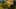 Game screenshot thumbnail 5