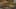 Game screenshot thumbnail 3